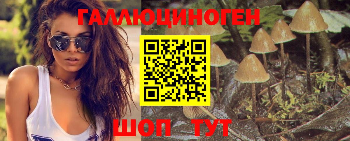 Галлюциногенные грибы Magic Shrooms Вологда