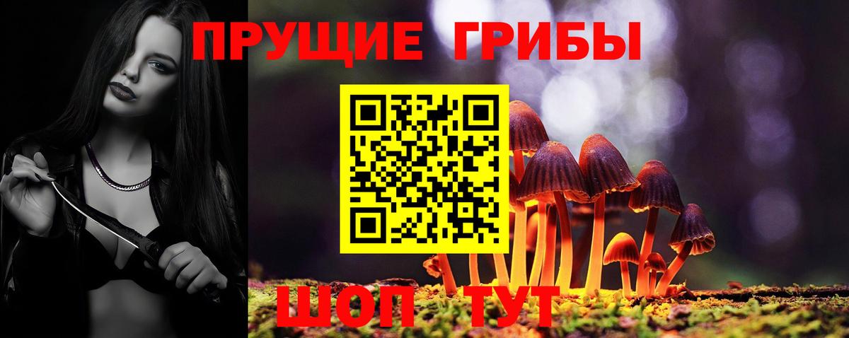 Галлюциногенные грибы GOLDEN TEACHER  закладки  Вологда  Вход с VPN 